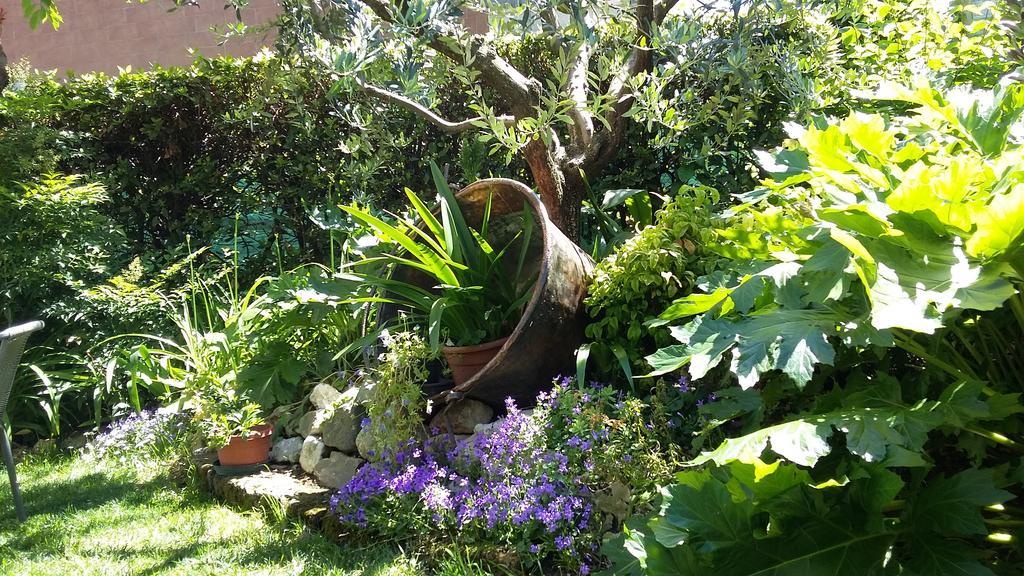 B&B Il Paiolo Desenzano del Garda Buitenkant foto